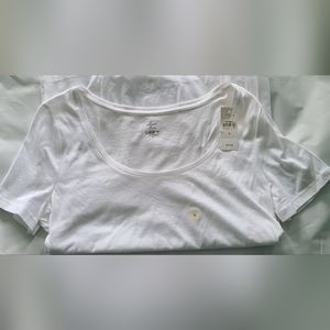 Ann Taylor Loft, Medium cotton round neck t-shirt